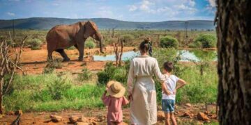 African Wildlife Safari and Tours | Kiboko Safaris