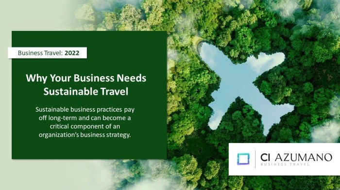 Sustainable Business Travel | CI Azumano Business Travel