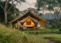 Exclusive Safari Experience with Luxury Tents and Wildlife Viewing ...