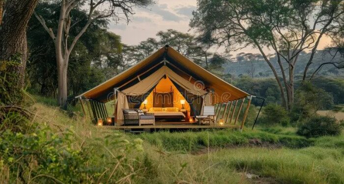 Exclusive Safari Experience with Luxury Tents and Wildlife Viewing ...
