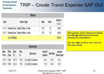 Integrated Enterprise System SAP TRIP Transaction Creating a